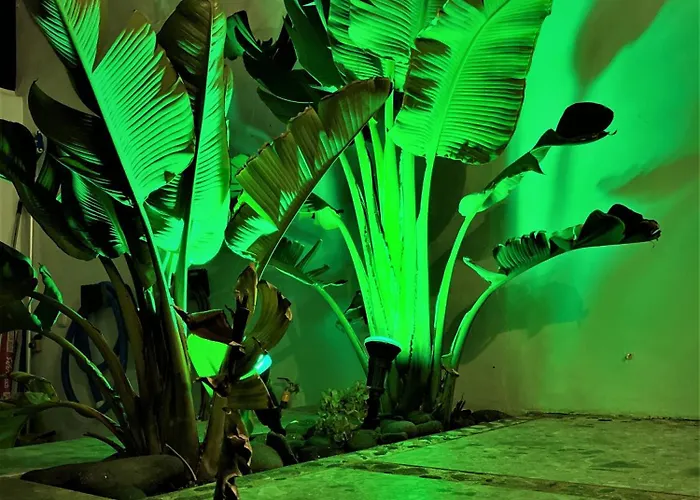 Luxury Rincon Del Mar- Old Town - 别墅 *